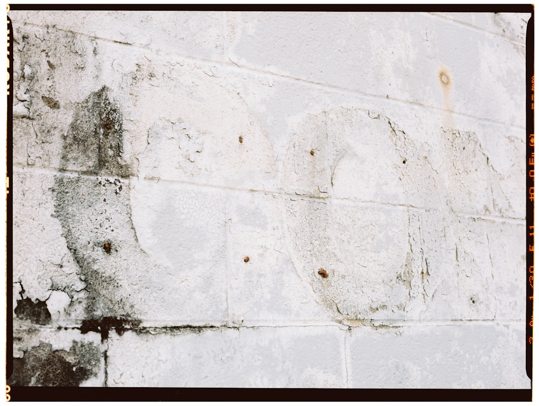 Mold Remediation service in McLean, VA